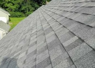 Professional Roofing Service
